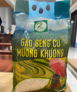 Seng Cu1
